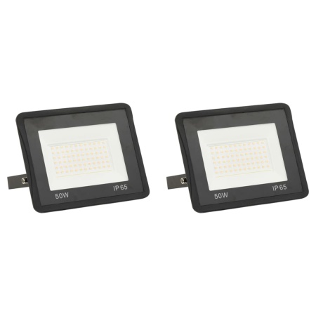 Proiectoare cu LED, 50 W, 2 buc., alb rece