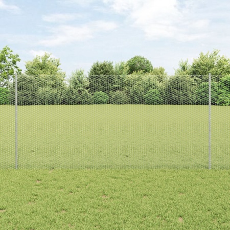 Set Gard de Grădină Set de 2 Oțel galvanizat 25 x 1.2 m