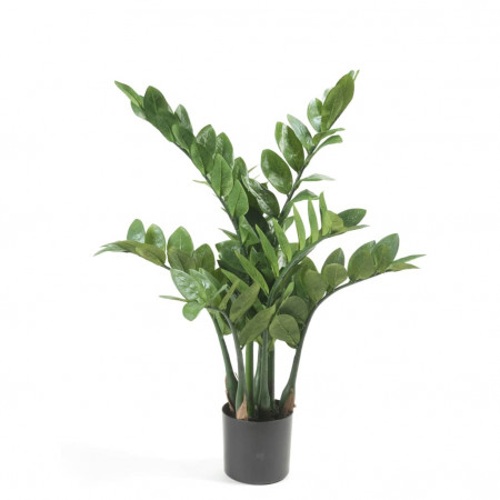 Emerald Plantă Zamioculcas artificială, 70 cm - Img 1