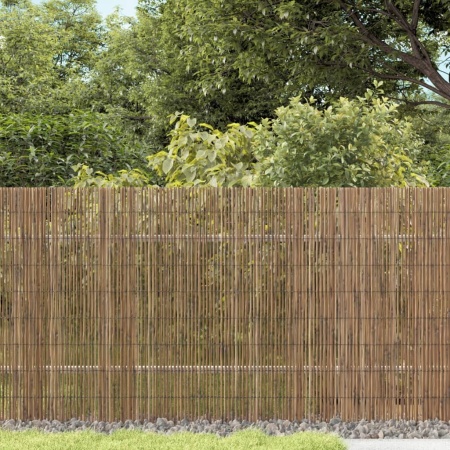 Gard de grădină, 500x80 cm, stuf