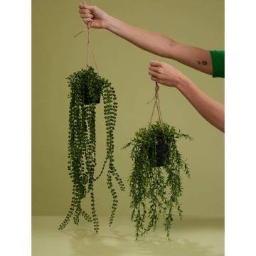 Emerald Ficus artificial Pumila, tufă suspendată în ghiveci, 60 cm - Img 3