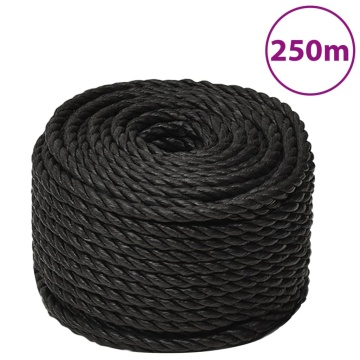 Frânghie de lucru, negru, 10 mm, 250 m, polipropilenă - Img 1