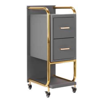 GABBIANO CARRUZ COAFER SOLO GOLD GREY - Img 1