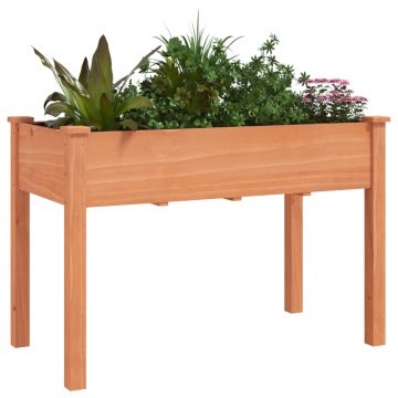 Jardinieră cu căptușeală, maro, 118x59x76 cm, lemn masiv brad - Img 3