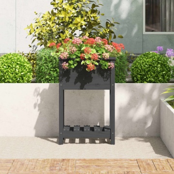 Jardinieră cu raft, gri, 54x34,5x81 cm, lemn masiv de pin - Img 3