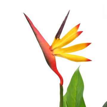 Plantă artificială Strelitzia Reginae Pasărea paradisului 66 cm - Img 2
