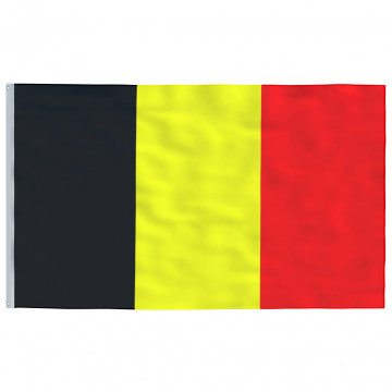 Steag Belgia și stâlp din aluminiu, 5,55 m - Img 4