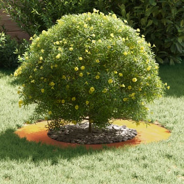 Ghiveci din Oțel Corten Oțel corten Mediu Inserții Decorative - Img 3
