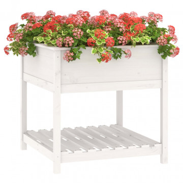 Jardinieră cu raft, alb, 82,5x82,5x81 cm, lemn masiv de pin - Img 4