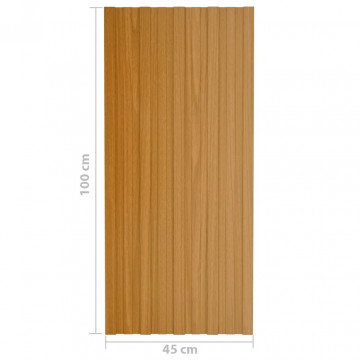 Panouri acoperiș, 12 buc., natural, 100x45 cm, oțel galvanizat - Img 6