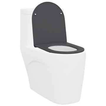 Scaun de toaletă cu eliberare rapidă, închidere lentă, din Duroplast, antracit - Img 3