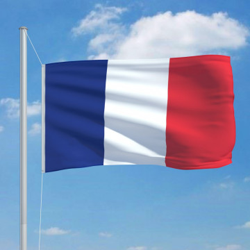 Steag Franța, 90 x 150 cm - Img 3