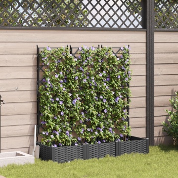 Ghiveci cu trellis 3 pcs Negru 120x40x125.5 cm - Img 3