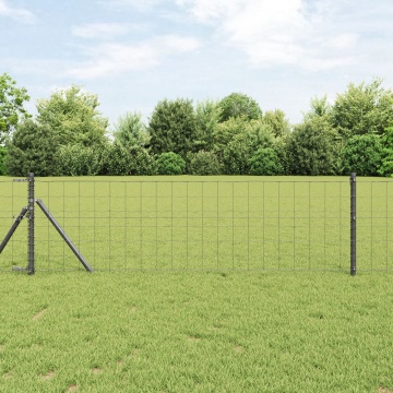 Împrejmuirea Euro Set de 2 Gri Metal 25 x 0.8 m Durabil - Img 1