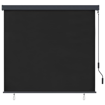 Jaluzea tip rulou de exterior, antracit, 160 x 250 cm - Img 2