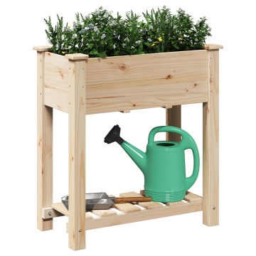 Jardiniere cu raft 71x37x76 cm Lemn masiv de brad - Img 3