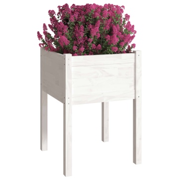 Jardiniere de grădină, 2 buc., alb, 50x50x70 cm, lemn masiv pin - Img 3