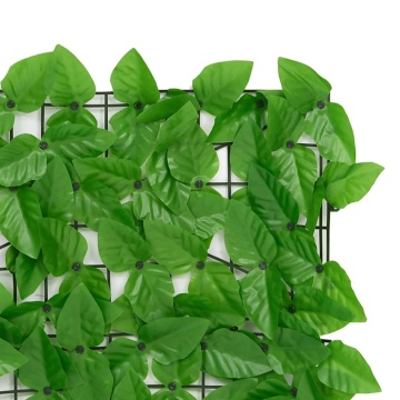 Paravan de balcon, frunze verde închis, 300x100 cm - Img 6