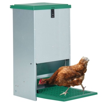 Dozator automat de hrană pentru păsări de curte cu banda 20 kg - Img 2