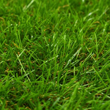 Gazon artificial, verde, 1x5 m/40 mm - Img 2