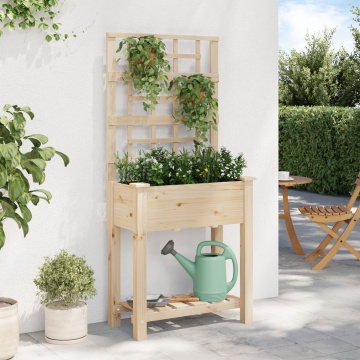 Ghiveci de grădină cu trellis și raft 71x37x152 cm din lemn de pin - Img 4