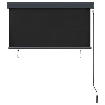 Jaluzea tip rulou de exterior, antracit, 120 x 250 cm - Img 3