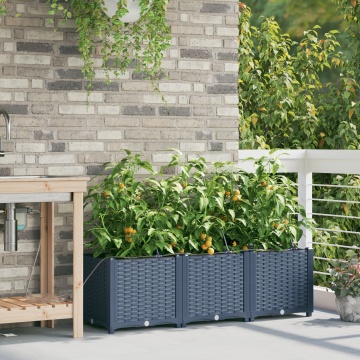 Jardiniere cu sistem de irigație pentru apă 3 buc Gri - Img 3