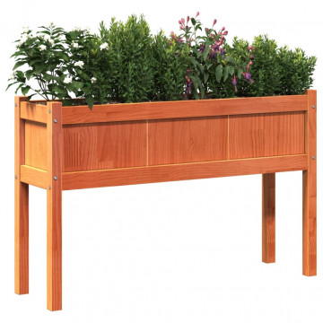 Jardiniere grădină cu picioare, 2 buc., maro ceruit, lemn pin - Img 4