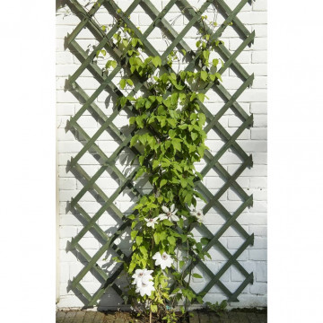 Nature Spalier de grădină, verde, 50 x 150 cm, lemn - Img 2