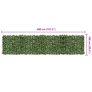 Paravan de balcon, frunze verde închis, 400x100 cm - Img 5