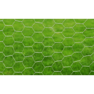 Plasă de sârmă pentru găini, argintiu, 25 x1 m, oțel galvanizat - Img 3