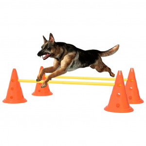 Set de obstacole pentru câini, portocaliu și galben - Img 1