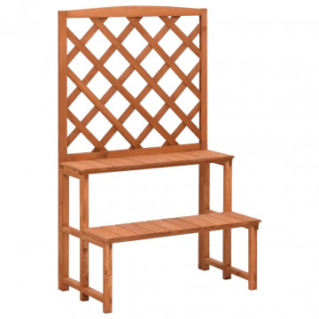 Suport plante cu spalier, 70x42x115 cm, lemn masiv de brad - Img 1