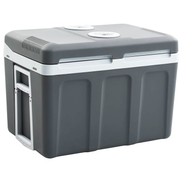 Ladă frigorifică termoelectrică portabilă 40 L 12 V 230 V E - Img 1