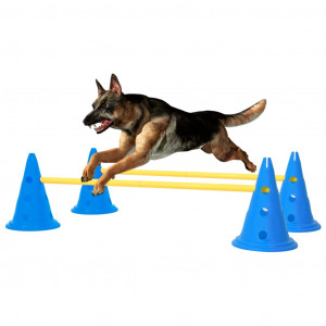 Set de obstacole pentru activități câini, albastru și galben - Img 1