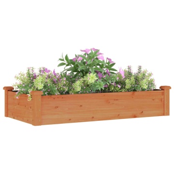 Strat grădină înălțat cu căptușeală maro 120x60x25 cm lemn brad - Img 3