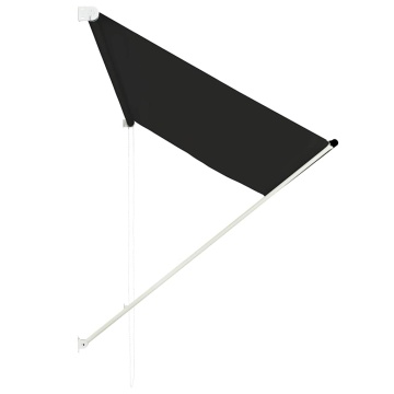 Copertină retractabilă, antracit, 250 x 150 cm - Img 3