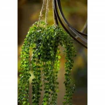 Emerald Ficus artificial Pumila, tufă suspendată în ghiveci, 60 cm - Img 1