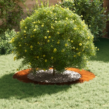 Ghiveci din oțel Corten Oțel Corten Mare Inserții decorative - Img 3