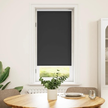 Jaluzea opacă rulabilă, 60 x 120 cm, negru - Img 1