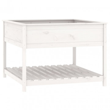 Jardinieră cu raft, alb, 111,5x111,5x81 cm, lemn masiv de pin - Img 2
