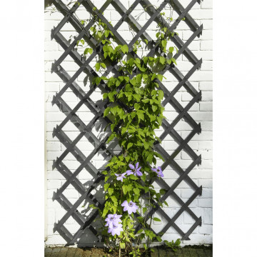 Nature Spalier de grădină, antracit, 50x150 cm, lemn - Img 1