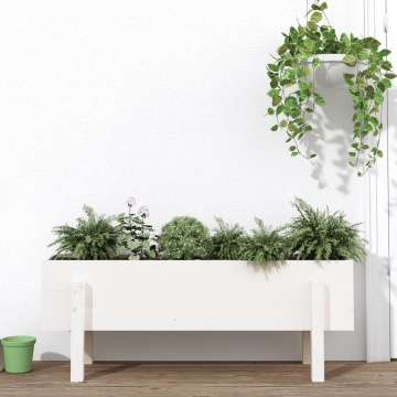 Strat înălțat de grădină, alb, 101x30x38 cm, lemn masiv de pin - Img 1