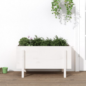 Strat înălțat de grădină, alb, 101x50x57 cm, lemn masiv de pin - Img 1