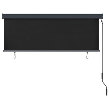 Jaluzea tip rulou de exterior, antracit, 160 x 250 cm - Img 4