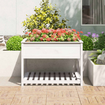 Jardinieră cu raft, alb, 111,5x111,5x81 cm, lemn masiv de pin - Img 3