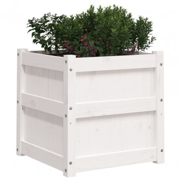 Jardiniere de grădină, 2 buc., alb, lemn masiv de pin - Img 4
