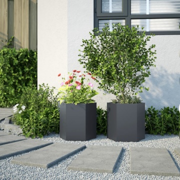 Jardiniere grădină, 2 buc. antracit 46x40x45 cm oțel hexagonală - Img 3