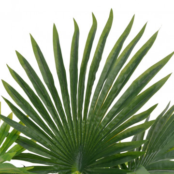 Plantă artificială palmier cu ghiveci, verde, 70 cm - Img 2