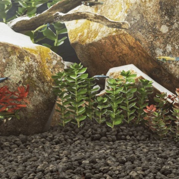 Roci vulcanice, 10 kg, negru, 5-8 cm - Img 1